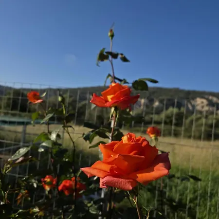Apartman Sofias Village View A